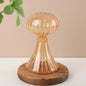 Mushroom Shaped Glass Vase – Hydroponic Plant & Home Decor