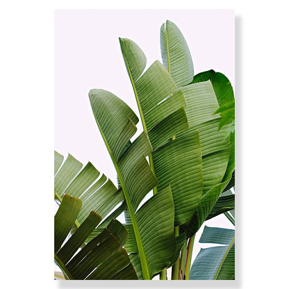Tropical Beach Ocean Palm Tree & Banana Leaves Canvas Poster