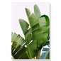 Tropical Beach Ocean Palm Tree & Banana Leaves Canvas Poster