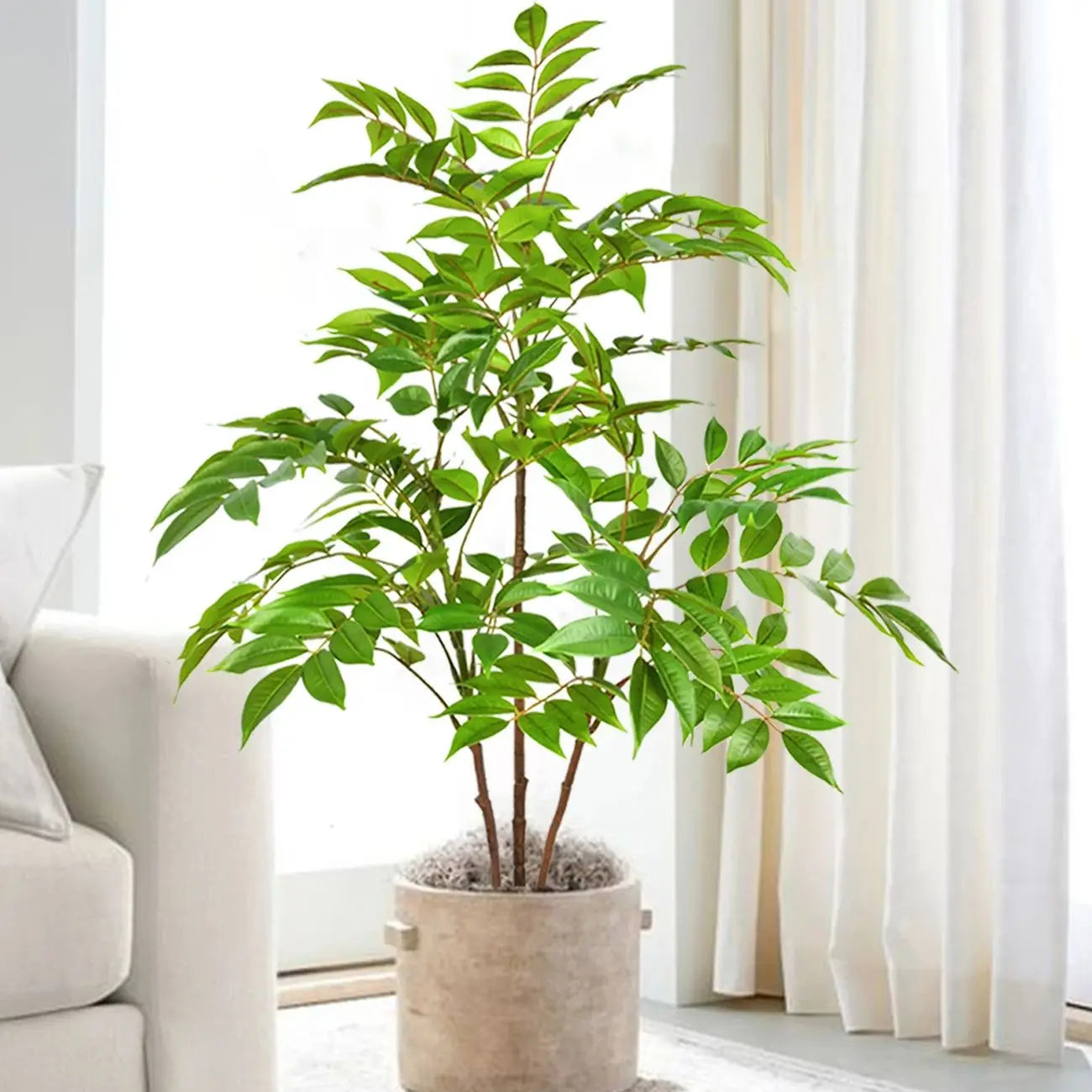 76-105-135cm/53.1in Artificial Ficus Tree Branch – Realistic Green Tropical Plant Decor