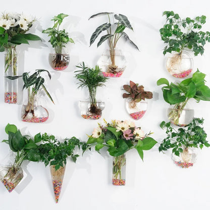 Hanging Hydroponic Glass Vase – Modern Wall-Mounted Plant Decor