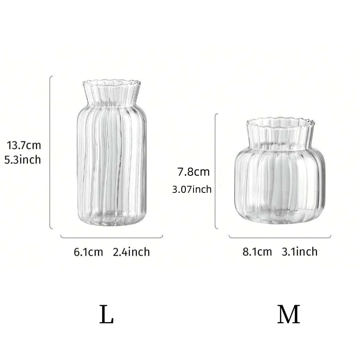 Transparent Glass Vase – Retro Striped Hydroponic Flower Decor
