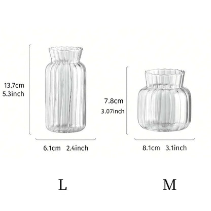 Transparent Glass Vase – Retro Striped Hydroponic Flower Decor