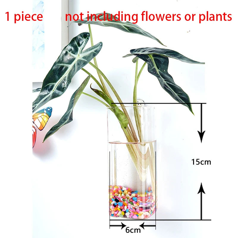 Hanging Hydroponic Glass Vase – Modern Wall-Mounted Plant Decor