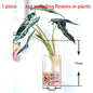 Hanging Hydroponic Glass Vase – Modern Wall-Mounted Plant Decor