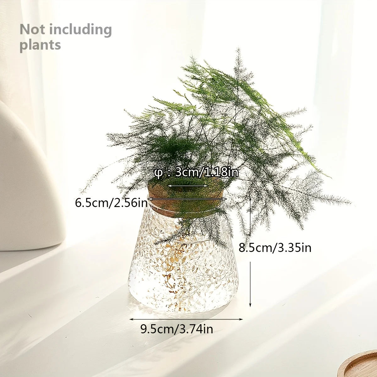 Modern Transparent Glass Hydroponic Vase – Desktop Plant Decor