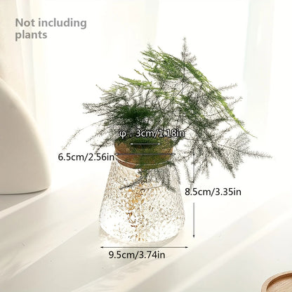 Modern Transparent Glass Hydroponic Vase – Desktop Plant Decor