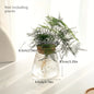 Modern Transparent Glass Hydroponic Vase – Desktop Plant Decor