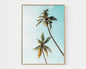 1/6pcs Pastel Blue Beach Surfing Canvas