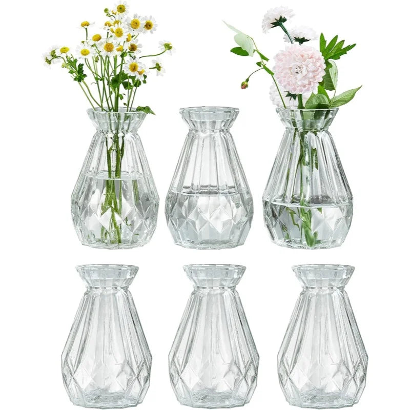 Minimalist Clear Glass Vase – Small Hydroponic Flower Vase for Home Décor
