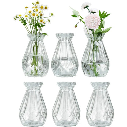 Minimalist Clear Glass Vase – Small Hydroponic Flower Vase for Home Décor