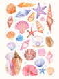 Girly Trendy Beach Scent Coastal Gallery Wall Art Set