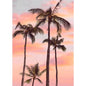 Summer Beach Palm Tree Wall Art Poster 🌴☀️🌊