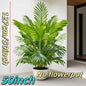 50" Realistic Artificial Palm Tree — Lush Indoor & Outdoor Decor