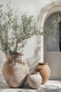 Natural Aesthetics Olive Tree Landscape Wall Art Print