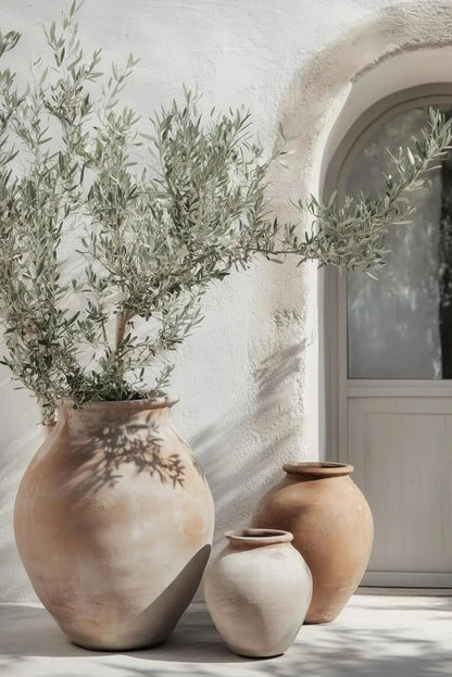 Natural Aesthetics Olive Tree Landscape Wall Art Print