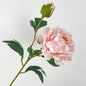 68cm Real-Touch Silk Peony Stem with 2 Blooming Heads