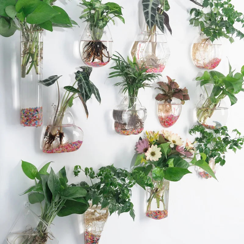 Hanging Hydroponic Glass Vase – Modern Wall-Mounted Plant Decor