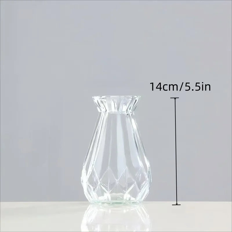Minimalist Clear Glass Vase – Small Hydroponic Flower Vase for Home Décor