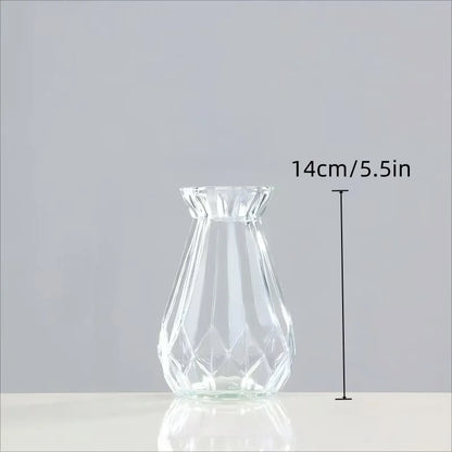 Minimalist Clear Glass Vase – Small Hydroponic Flower Vase for Home Décor
