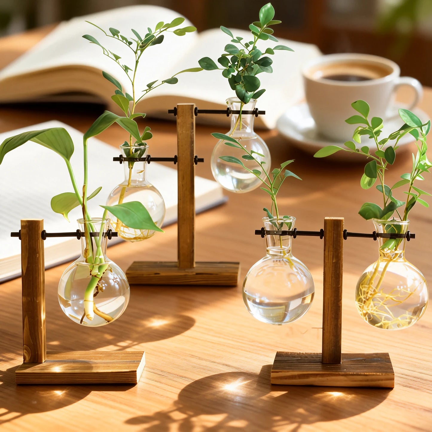 Hydroponic Glass Terrarium Vase – Desktop Plant Decor