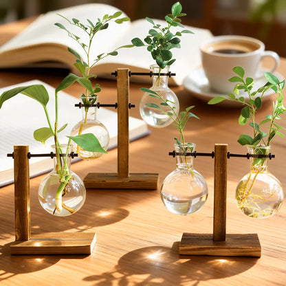 Hydroponic Glass Terrarium Vase – Desktop Plant Decor