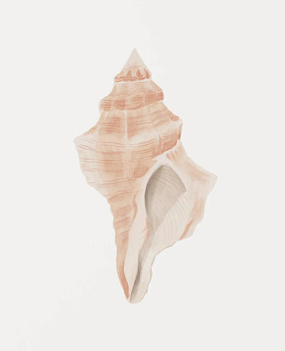 Modern Blue Coastal Shells and Starfish Canvas Poster Set