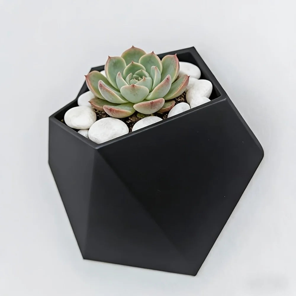The Black Hexagonal Wall-Mounted Flower Pot Has a Simple and Unique Design. Its Hole Structure Makes It Easy to Install and Is S