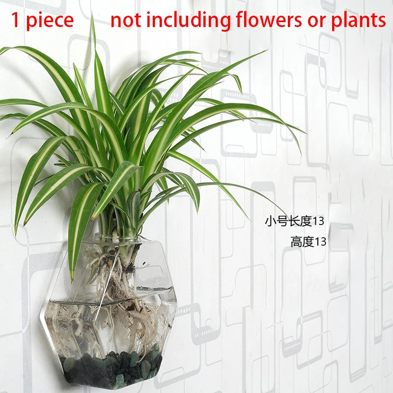 Hanging Hydroponic Glass Vase – Modern Wall-Mounted Plant Decor