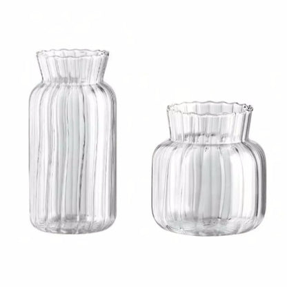 Transparent Glass Vase – Retro Striped Hydroponic Flower Decor