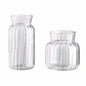 Transparent Glass Vase – Retro Striped Hydroponic Flower Decor