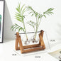 Wooden Frame Hydroponic Glass Vase – Retro Plant Decor