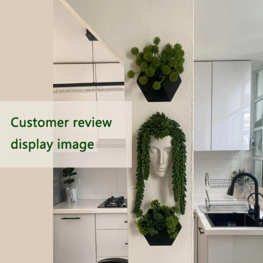 The Black Hexagonal Wall-Mounted Flower Pot Has a Simple and Unique Design. Its Hole Structure Makes It Easy to Install and Is S