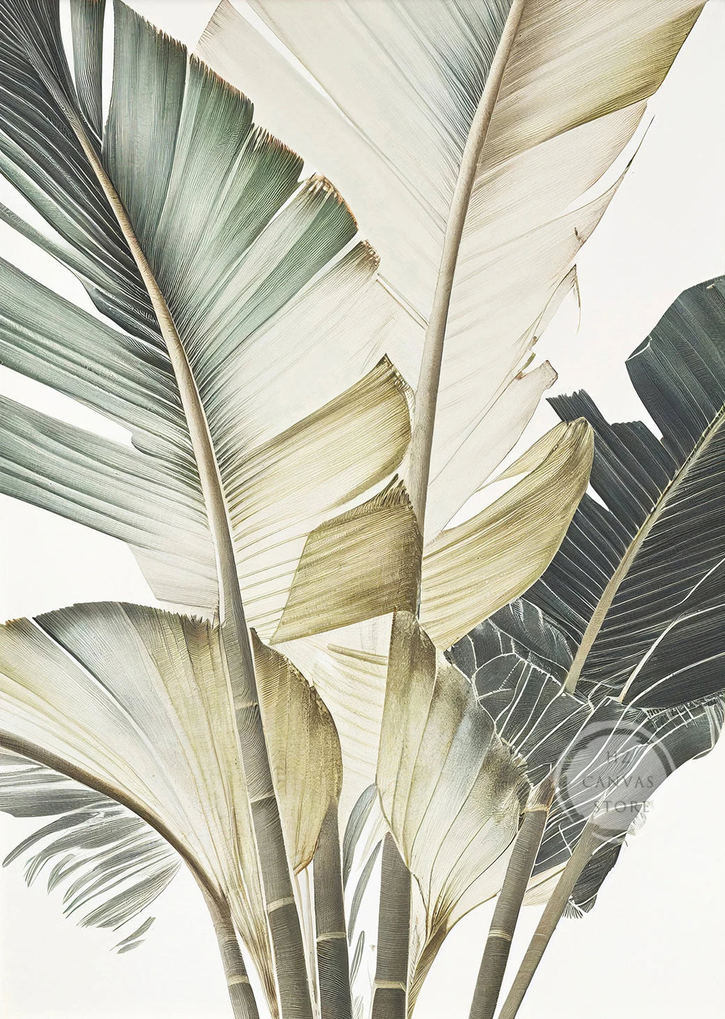 Modern Tropical Plant Canvas Print