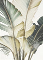 Modern Tropical Plant Canvas Print