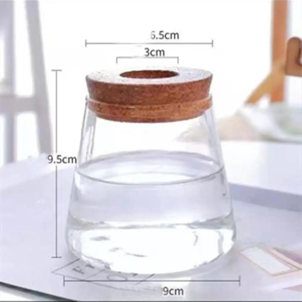 Transparent Hydroponic Flower Pot Green Plant Creative Mini Terrarium Potted Soilless Home Glass Vase