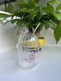 400ml Butterfly Glass Cup with Lid & Straw 🦋☕