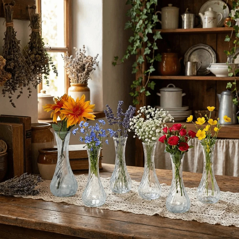 6PCS Mini Glass Vases – Rustic Transparent Flower Decor Set