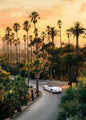 Summer Beach Palm Tree Canvas Wall Art 🌴☀️🌊