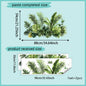 Watercolor Tropical Green Plants Wall Stickers (Removable Decals)