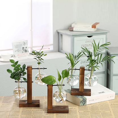 Hydroponic Glass Terrarium Vase – Desktop Plant Decor