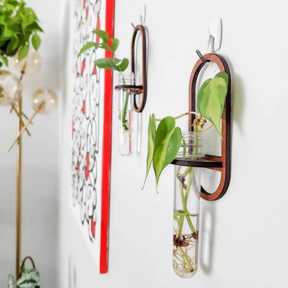 Wood Hydroponic Plant Rack for Home Wall Decor Vase Rack Wooden Wall Hanging Shelve Plant Flower Arrangement Plant Hangers