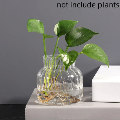 Transparent Glass Vase – Retro Striped Hydroponic Flower Decor