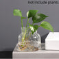Transparent Glass Vase – Retro Striped Hydroponic Flower Decor