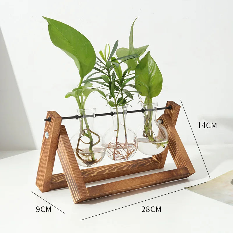 Wooden Frame Hydroponic Glass Vase – Retro Plant Decor