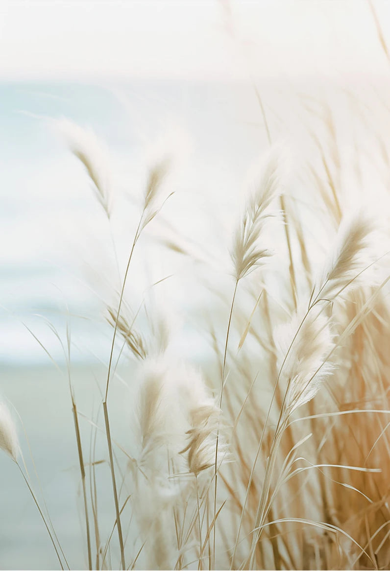 Beach Coastal Ocean Landscape Canvas Poster with Pampas Grass