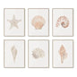 Modern Blue Coastal Shells and Starfish Canvas Poster Set