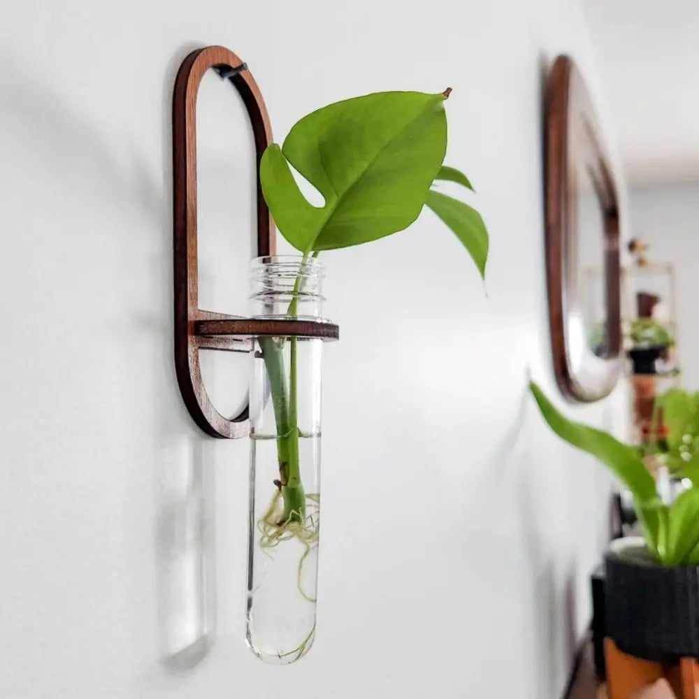 Wood Hydroponic Plant Rack for Home Wall Decor Vase Rack Wooden Wall Hanging Shelve Plant Flower Arrangement Plant Hangers