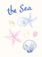 Girly Trendy Beach Scent Coastal Gallery Wall Art Set