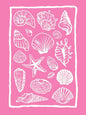 Girly Trendy Beach Scent Coastal Gallery Wall Art Set